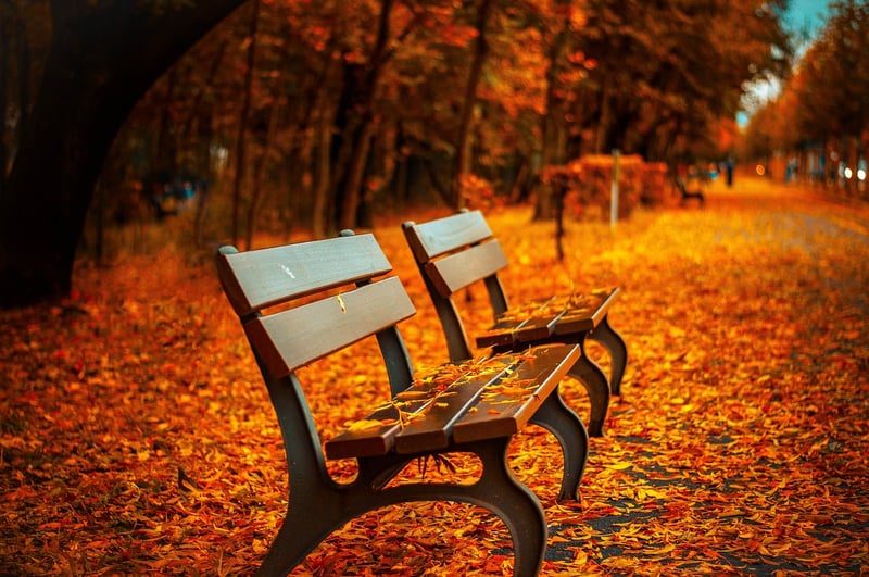 Autumn Setup