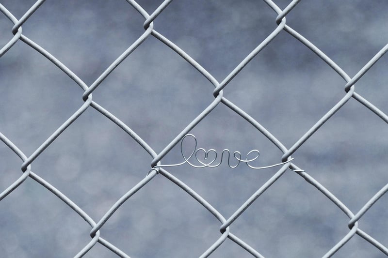 Wire Baskets