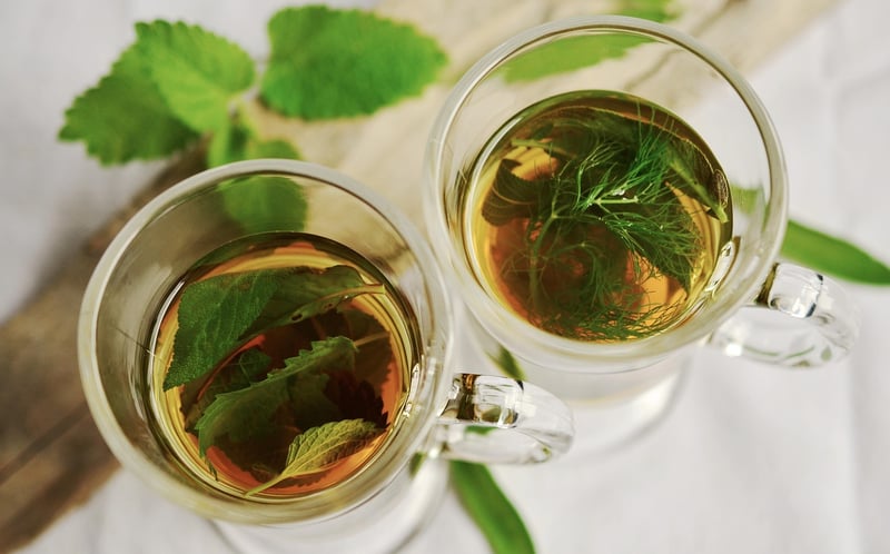 Mint Plant